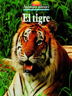 cover image of El tigre